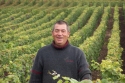 Champagne Alain NAVARRE - Les vendanges 2005 en images Champagne Alain NAVARRE - Les vendanges 2005 en images