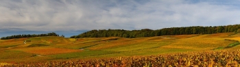 Journée d'Automne
