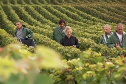 Champagne Alain NAVARRE - Vendange en Champagne