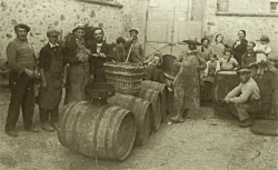 Champagne Alain NAVARRE - Les barriques aprés le pressurage