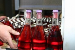 Champagne Alain NAVARRE - Dépôt emprisonné dans la glace