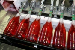 Champagne Alain NAVARRE - Expulsion du depôt